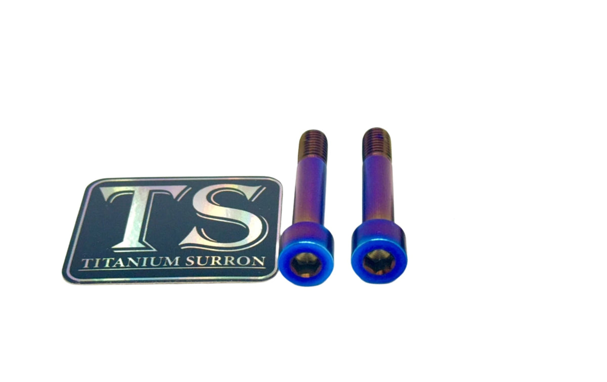 Section 7 Lock Riot Titanium Hardware for AstroWorks Shift Lock (Set of Two) – Riot Racing