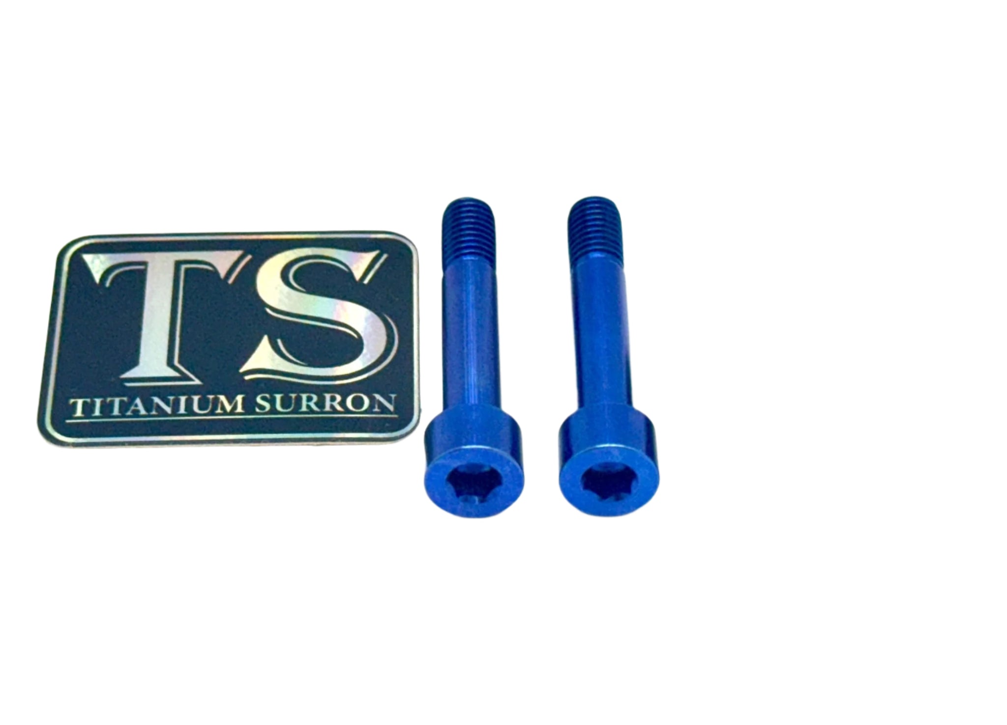 Titanium Motor Bolts - Rerode R1 - Riot Racing