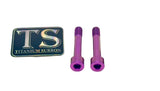 Titanium Motor Bolts - Rerode R1 - Riot Racing