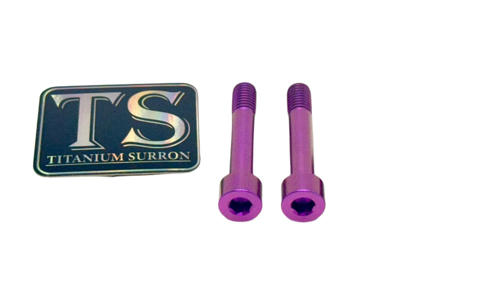 Titanium Hardware for AstroWorks Shift Lock (Set of Two) - Riot Racing