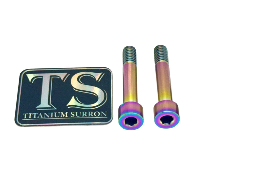 Titanium Hardware for EMoto Worx Shift Lock (LBX, XXX, ERP, Ultra Bee) - Riot Racing