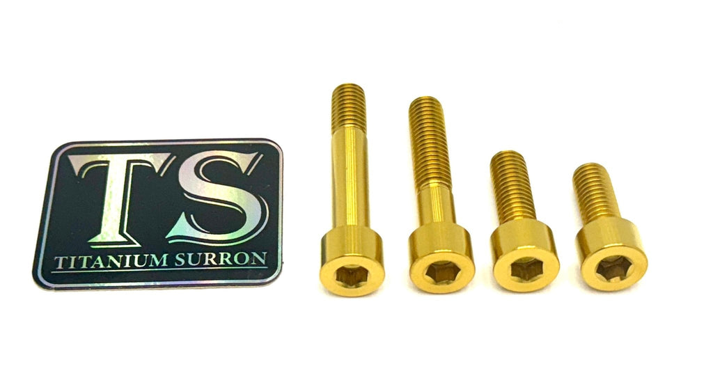 Titanium Motor Bolts - Surron LBX - Riot Racing