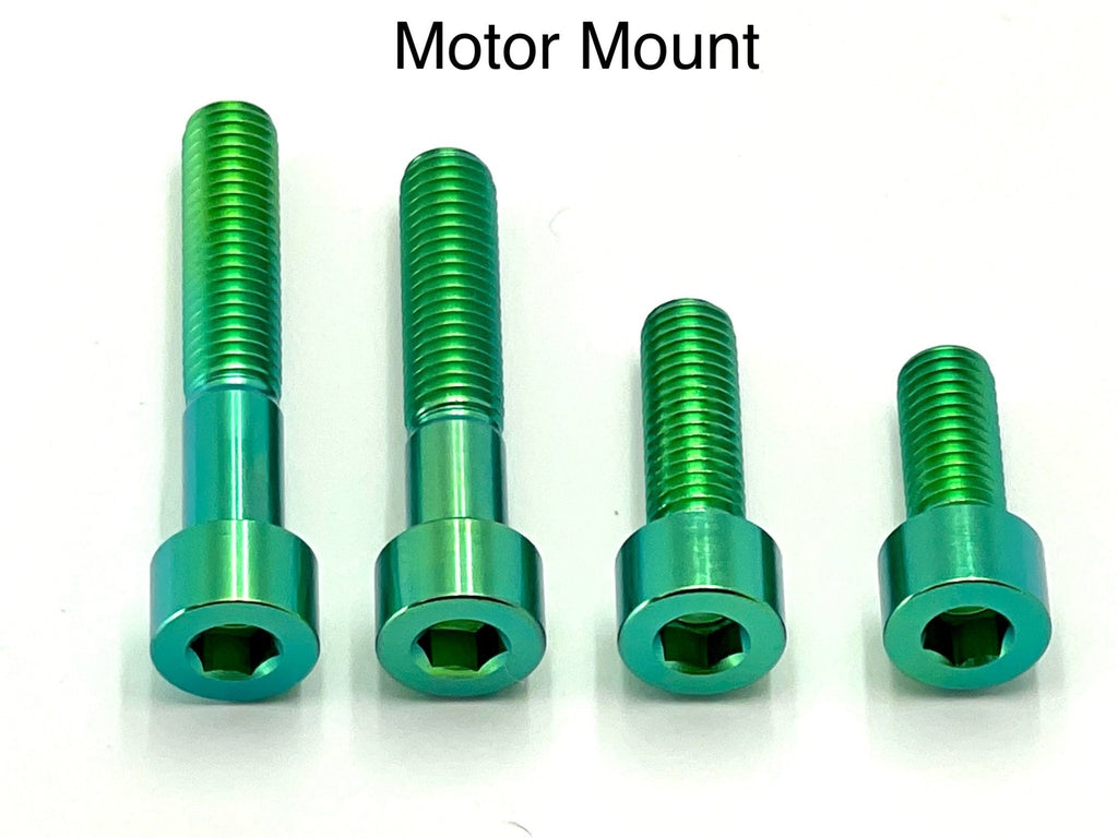 Titanium Motor Bolts - Surron LBX - Riot Racing