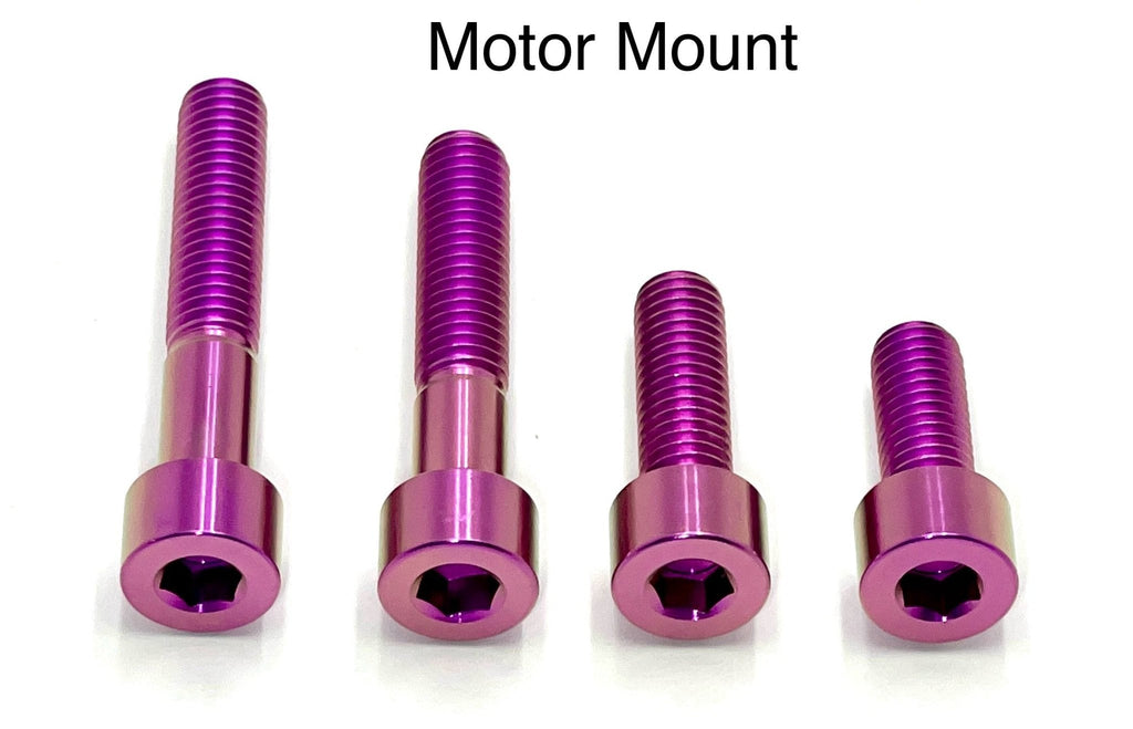 Titanium Motor Bolts - Surron LBX - Riot Racing