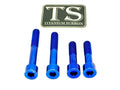 Titanium Motor Bolts - Surron Ultra Bee Titanium Surron