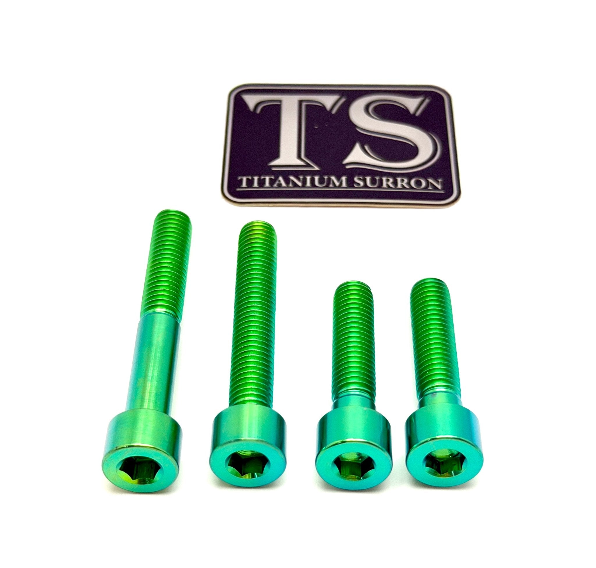 Titanium Motor Bolts - Surron Ultra Bee Titanium Surron