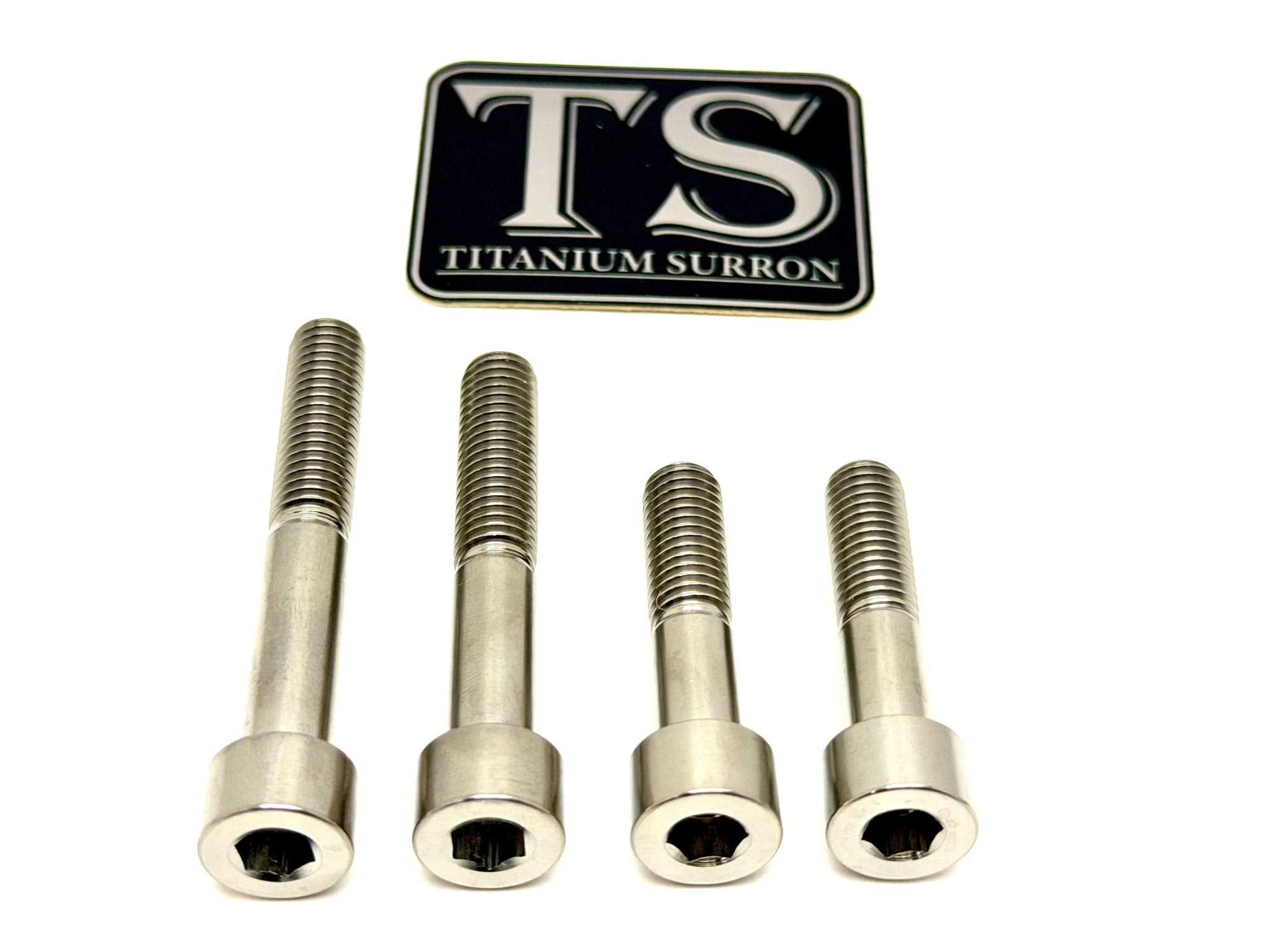 Titanium Motor Bolts - Surron Ultra Bee Titanium Surron