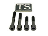 Titanium Motor Bolts - Surron Ultra Bee Titanium Surron
