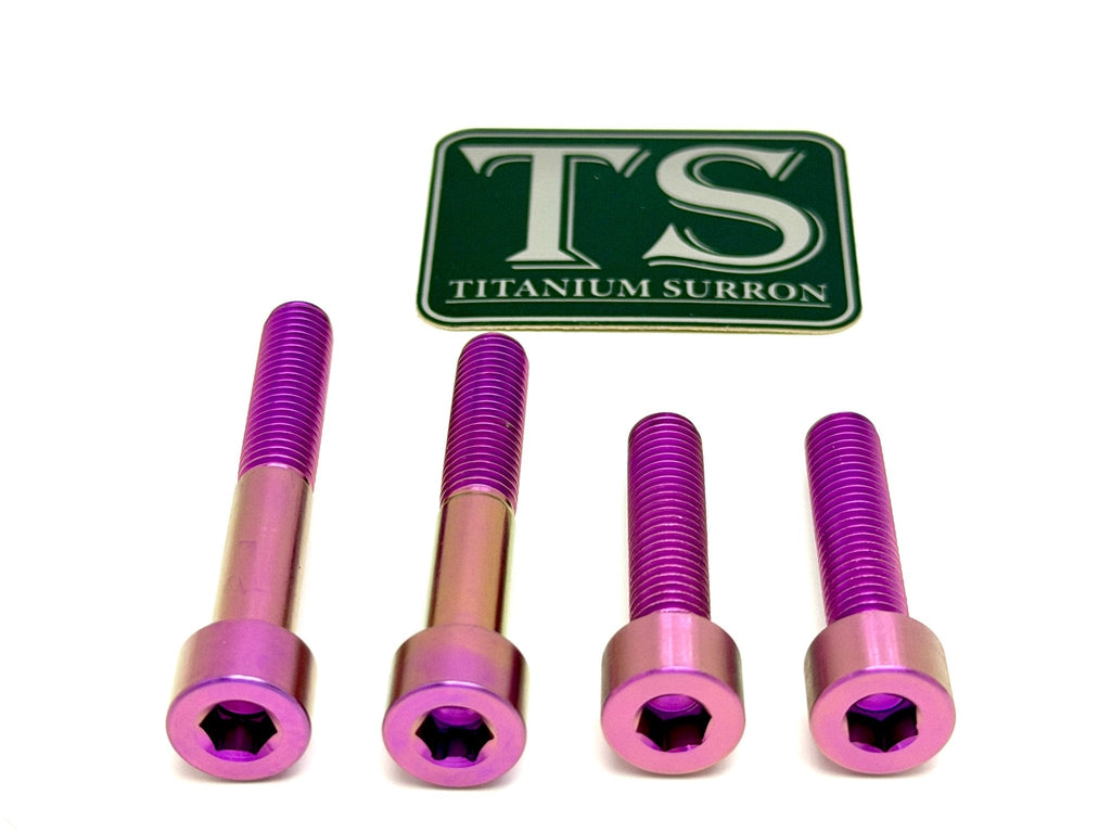 Titanium Motor Bolts - Surron Ultra Bee Titanium Surron