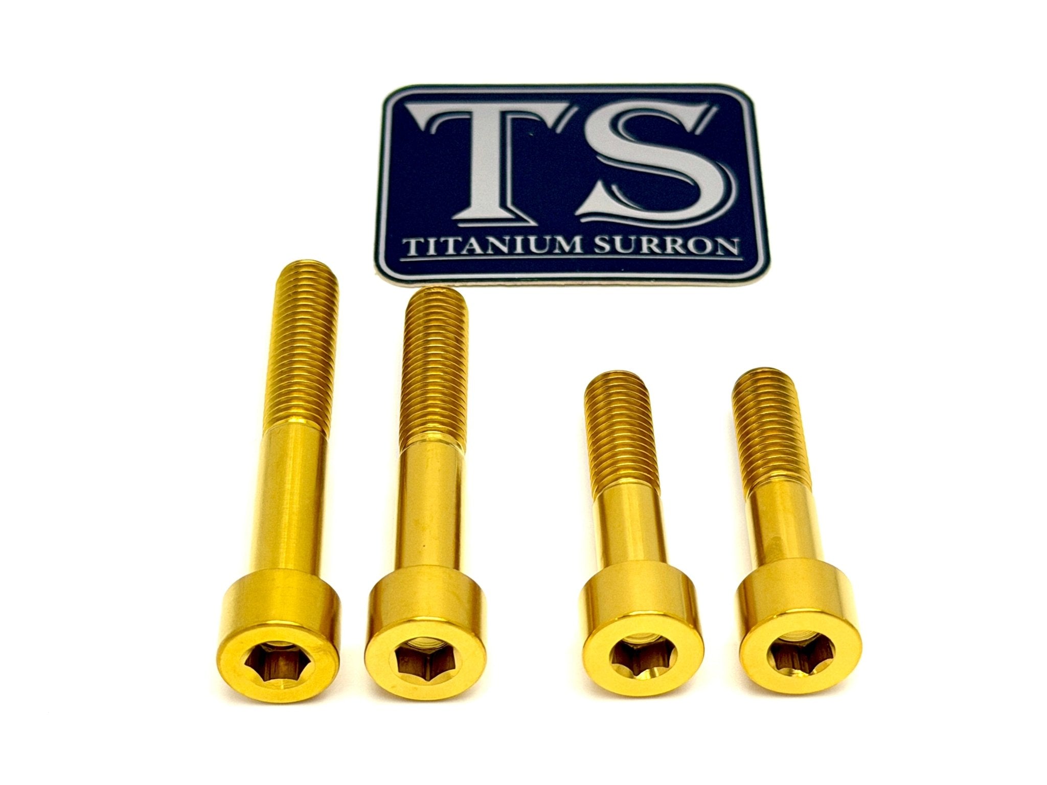 Titanium Motor Bolts - Surron Ultra Bee Titanium Surron