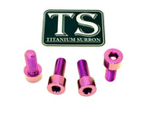 Titanium Peg Bracket Bolts - E-moto Titanium Surron