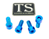 Titanium Peg Bracket Bolts - E-moto Titanium Surron