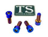 Titanium Peg Bracket Bolts - E-moto Titanium Surron