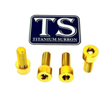 Titanium Peg Bracket Bolts - E-moto Titanium Surron
