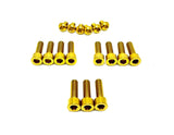 Titanium Altis Sigma Front Fork Bolt Kit Titanium Surron