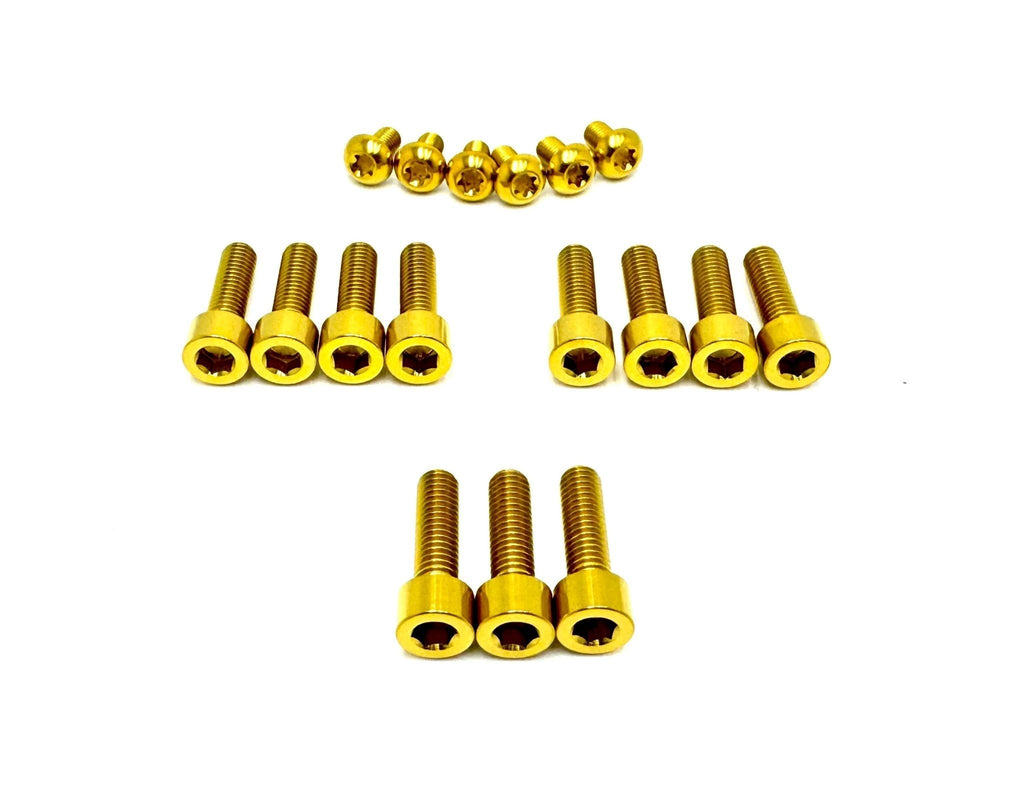Titanium RFloXa Hawk 35 Pro and Max Fork Bolt Kits (21 pcs) Titanium Surron
