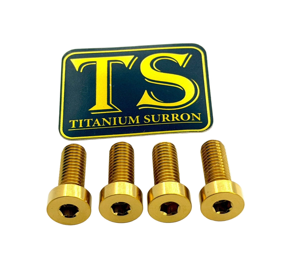 Titanium Seat/ Subframe Bolts for E-moto Titanium Surron
