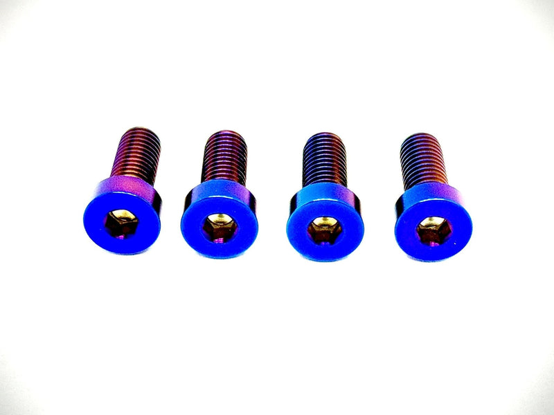 Titanium Seat/ Subframe Bolts for E-Ride Pro - Riot Racing