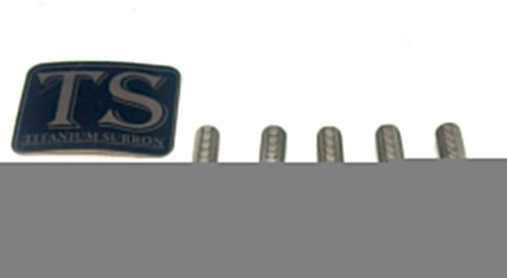 Titanium Rear Sprocket Bolts - E-Moto - Riot Racing