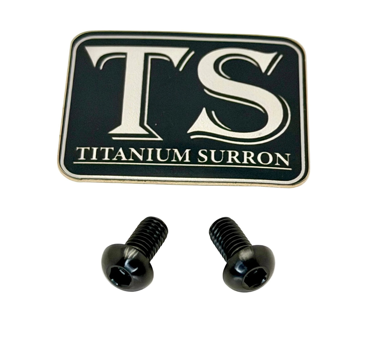 Titanium Motor Cover Bolts (Set of 2) — E-Moto Titanium Surron