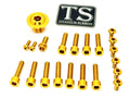 Titanium Surron Ultra Bee OEM Fork Bolt Kit Titanium Surron