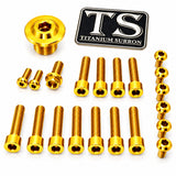 Titanium Surron Ultra Bee OEM Fork Bolt Kit Titanium Surron