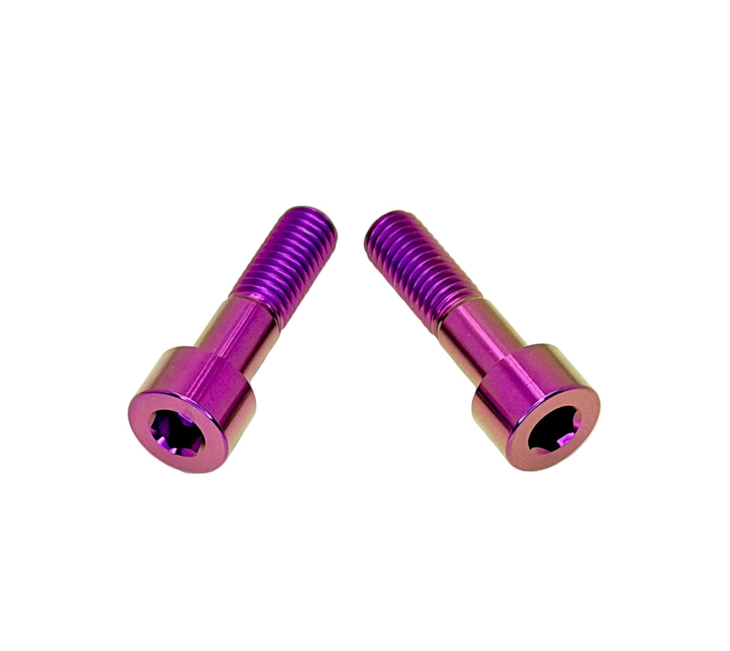 Titanium Triangle Bolts - Surron LBX/ Segway/ Ventus Titanium Surron
