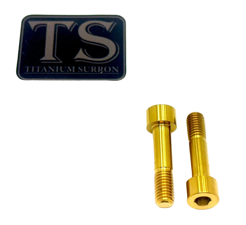 Titanium Triangle Bolts - Surron LBX/ Segway/ Ventus Titanium Surron