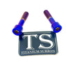 Titanium Triangle Bolts - Surron LBX/ Segway/ Ventus Titanium Surron