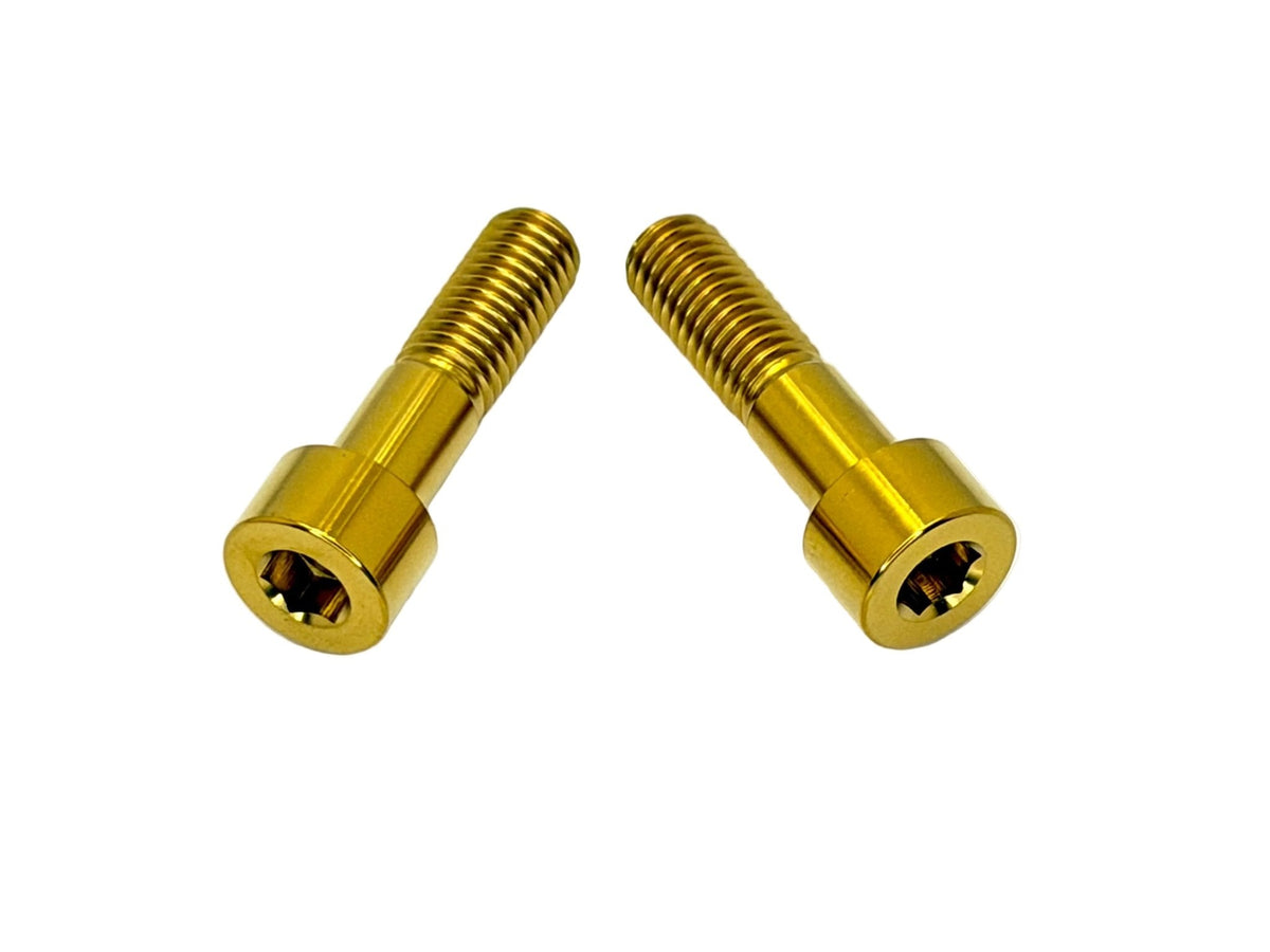Titanium Triangle Bolts - Surron LBX/ Segway/ Ventus Titanium Surron