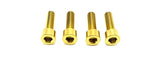 Ultra Bee Fork Titanium Axle Pinch Bolts - Riot Racing