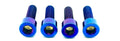Ultra Bee Fork Titanium Axle Pinch Bolts - Riot Racing