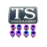 Ventus V9600 Heat Sink Titanium Bolt Kits (8 pcs) Titanium Surron