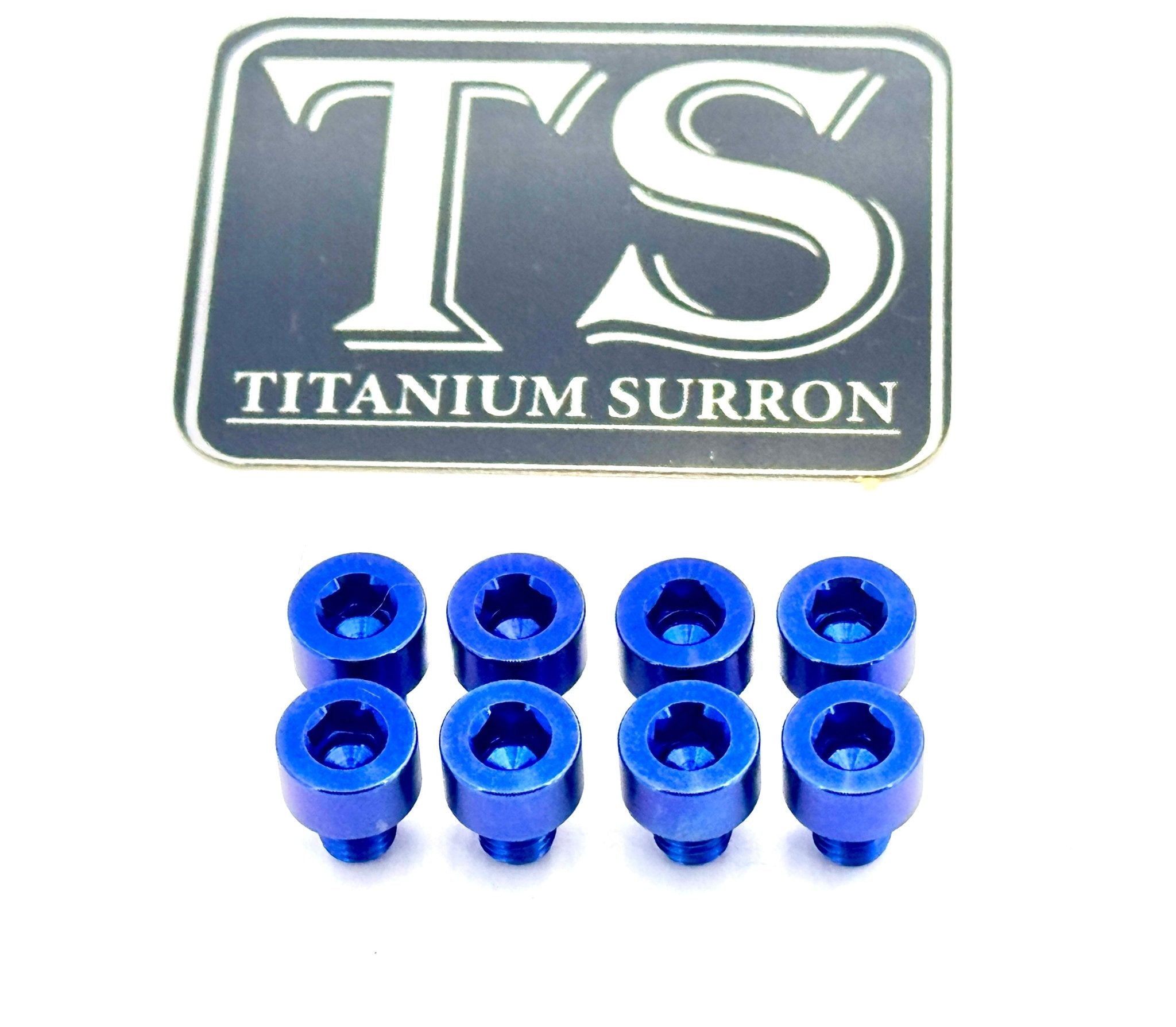 Ventus V9600 Heat Sink Titanium Bolt Kits (8 pcs) Titanium Surron
