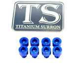 Ventus V9600 Heat Sink Titanium Bolt Kits (8 pcs) Titanium Surron