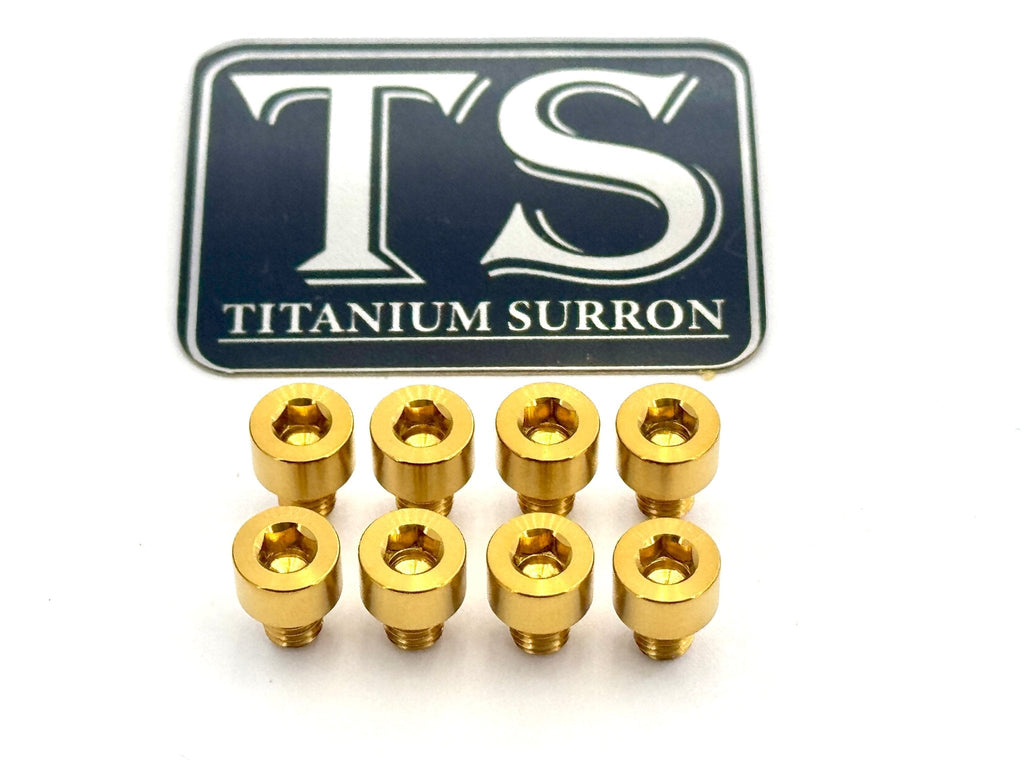 Ventus V9600 Heat Sink Titanium Bolt Kits (8 pcs) Titanium Surron