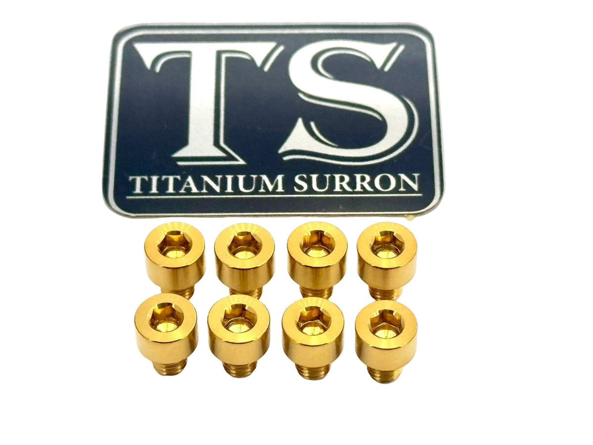 Ventus V9600 Heat Sink Titanium Bolt Kits (8 pcs) Titanium Surron
